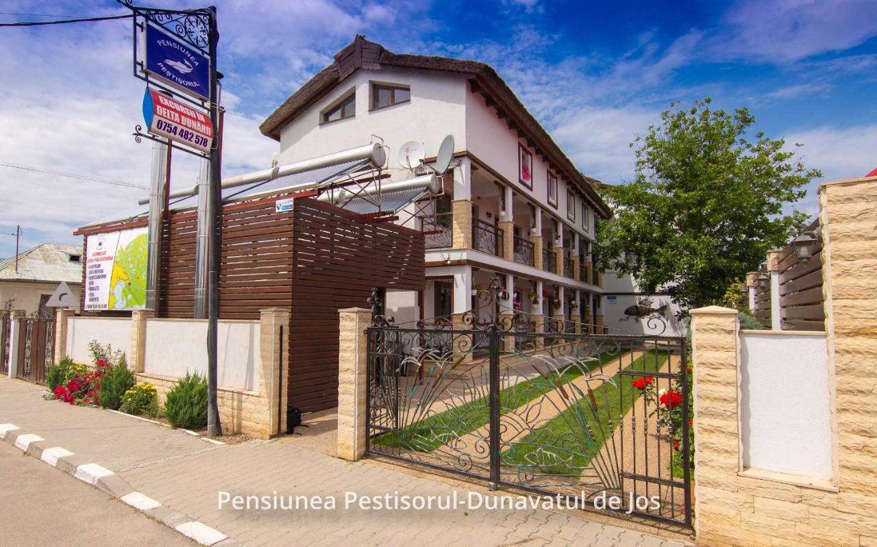 Pensiunea Pestisorul Dunavăţu de Jos Zewnętrze zdjęcie