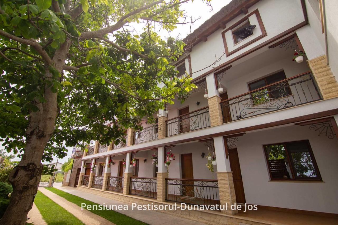 Pensiunea Pestisorul Dunavăţu de Jos Zewnętrze zdjęcie