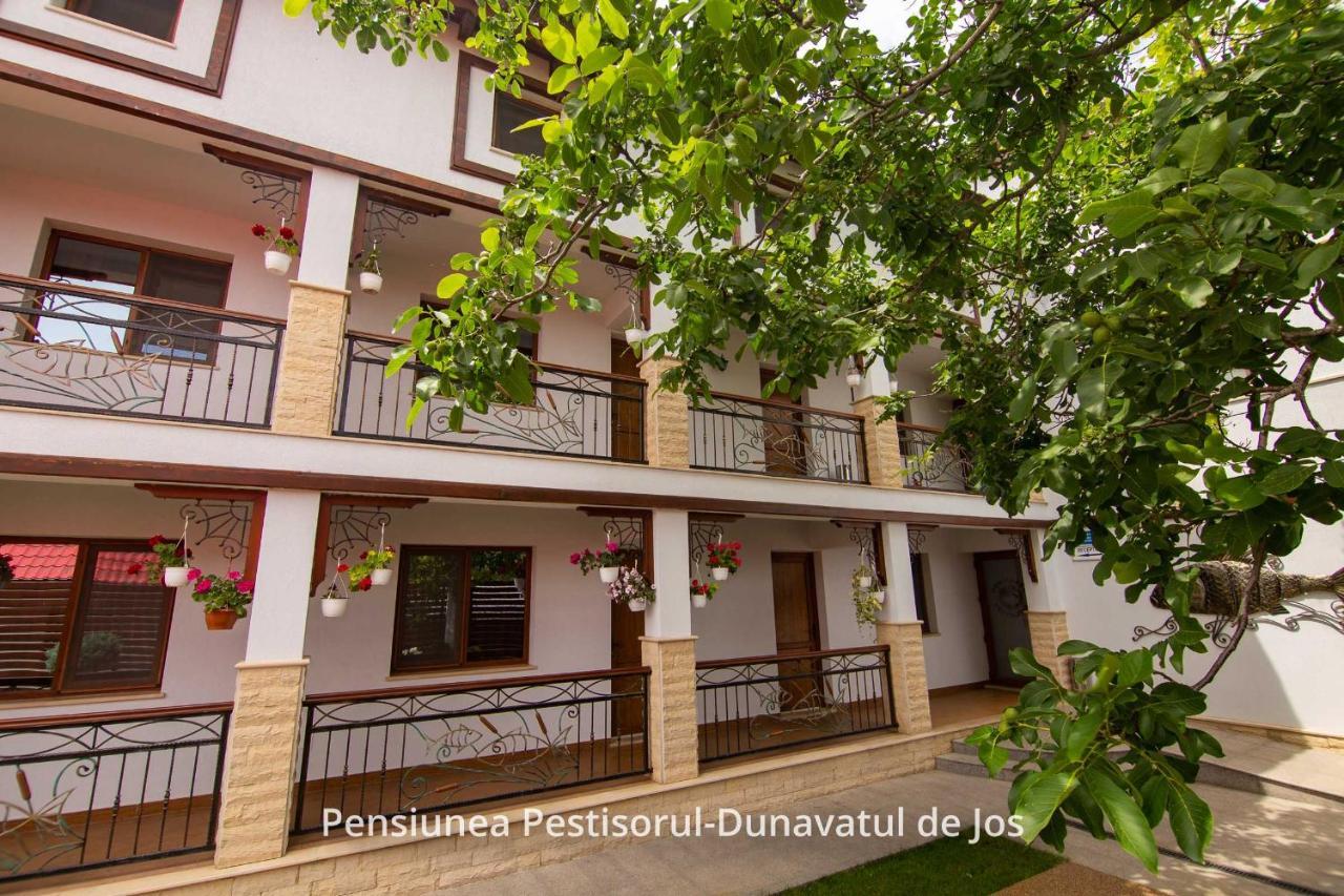 Pensiunea Pestisorul Dunavăţu de Jos Zewnętrze zdjęcie