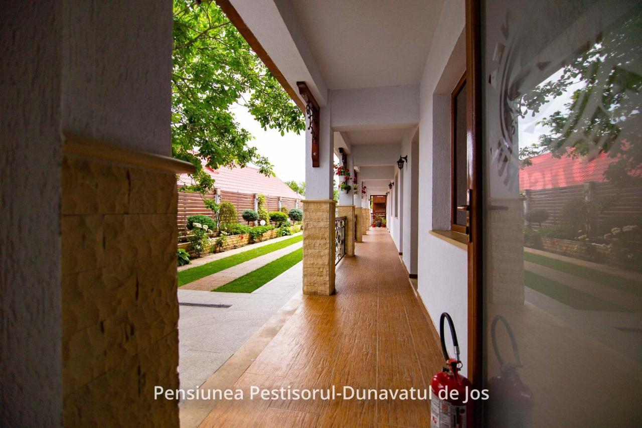 Pensiunea Pestisorul Dunavăţu de Jos Zewnętrze zdjęcie
