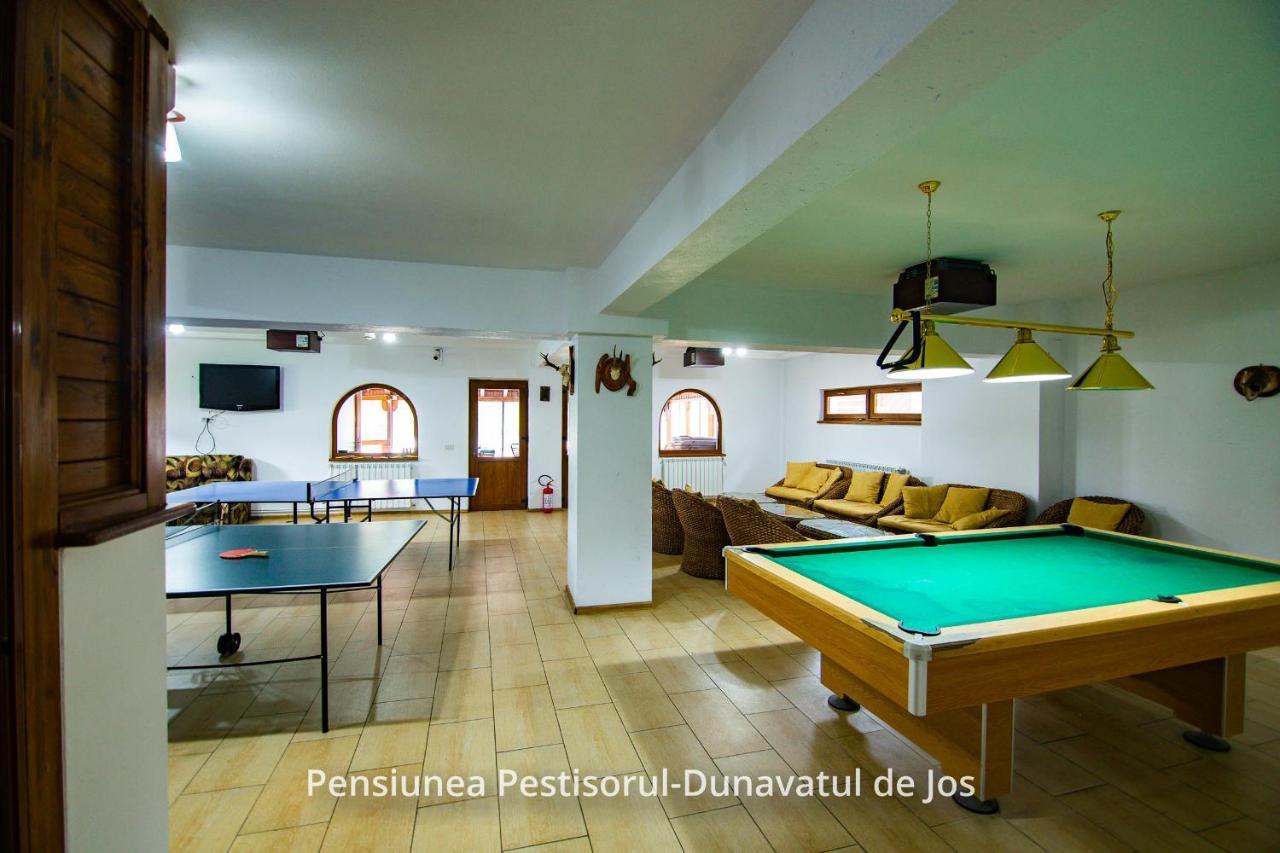 Pensiunea Pestisorul Dunavăţu de Jos Zewnętrze zdjęcie