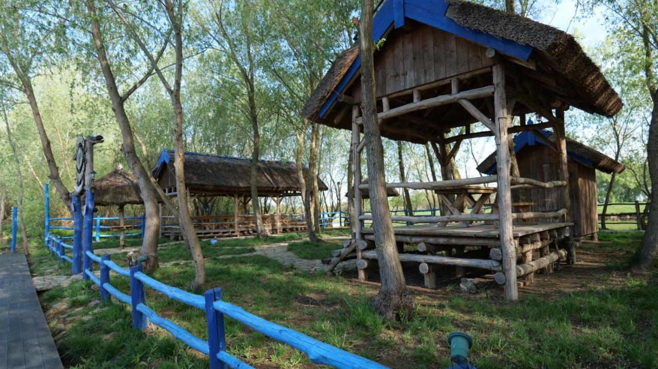 Pensiunea Pestisorul Dunavăţu de Jos Zewnętrze zdjęcie